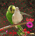 /album/fotogaleria/a824158308-1231983-gif/